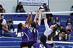 Volleyball: Cruisers make mark as individuals and team