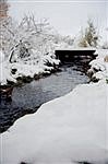 State and Pierce County ask for public comments on proposed levee retrofit in Mount Rainier National Park