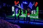 Christmas lights come to life at Point Defiance Zoo 30 years in a row