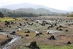 Alder Lake on the rise again after historically low water levels