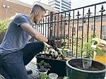 Get Growing: What gardening will look like in 2021 — Hot tubs, weed and wildlife