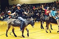 Donkey Basketball entertains crowd