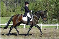 Local Dressage enthusiasts win top honors