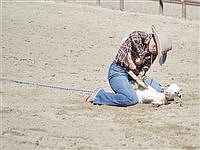 Silver State International Rodeo ropes in a crowd