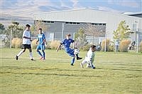 Bucks split matches at home