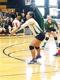 Lady Longhorns sweep Falcons