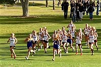 Cross country runners shine in Elko
