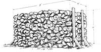 Collecting Nevada Forest Products