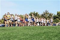 Lowry runners shine at state