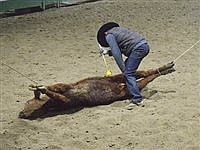 30th Annual Ranch Hand Rodeo held in Winnemucca