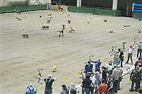 3D Archery returns
