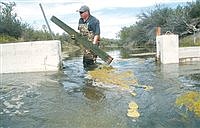 Good water year for Toulon Lake, Humboldt Sink