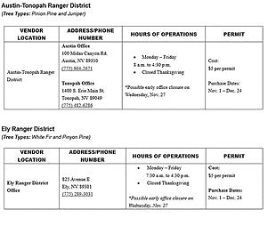 Austin-Tonopah, Ely, and Mountain City-Ruby Mountains-Jarbidge Ranger Districts start  selling Christmas tree permits on Nov. 1