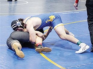 Peterson places sixth at Rollie Lane Invitational 
