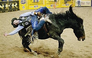 The buck stops: Cowboys hanging on until rodeos start again