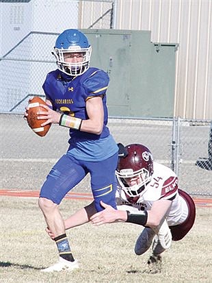 Buckaroos roll past Dust Devils