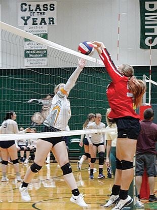 Lady Longhorns see action on home floor for first time