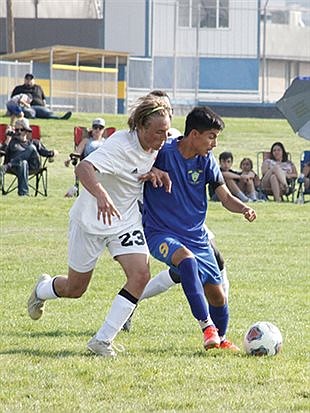 Buckaroos drop home-opener to Tigers