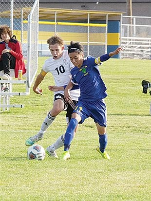 Lowry splits with Spring Creek, Elko