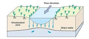 Nevada water rights