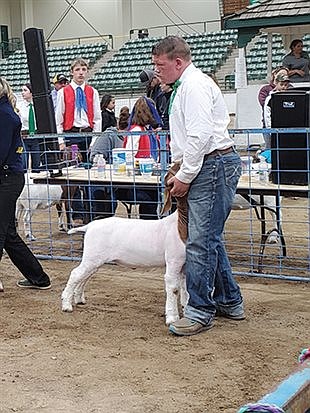 Lander County 4H and FFA members attend Nevada Junior Livestock Show