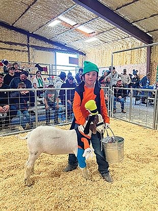 Pershing County 4-H Livestock Show was magical