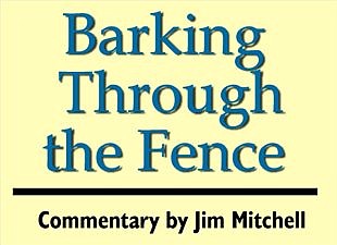 GUEST COMMENTARY - Gun control