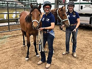 4-H youth and Bureau of Land Management host horse adoption auction