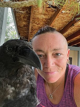 Lovelock business owner rescues raven