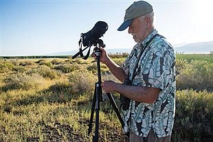 Wildlife agencies work to restore wetlands for declining Great Basin shorebird populations