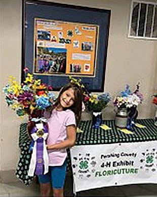4-H exhibits showcased at county, Tri-County, and at state level