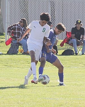 Lowry boys soccer team splits with Truckee, Churchill County