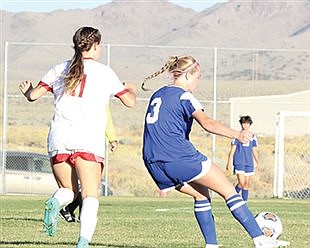 Lady Bucks tie Greenwave, lose to Wolverines