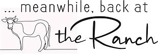 Local Grief Share group meeting Nov. 5, RSVP now