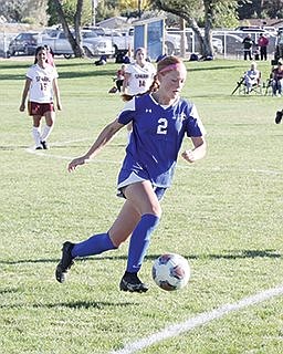 Novi, Pettis, Brinkerhoff named to Northern 3A East first team
