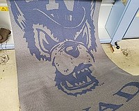Tease photo