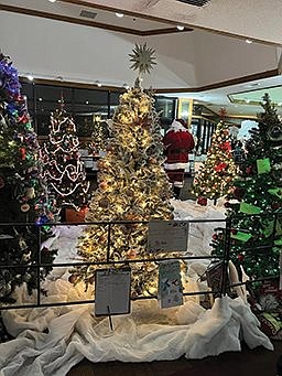Festival of Trees kicks off Christmas season festivities