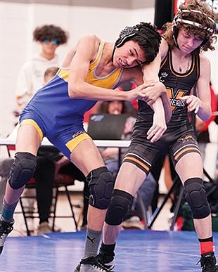 Lowry wrestling sends eight to state