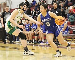 McDermitt knocks off Owyhee, heads to state tournament