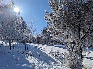 The effects of high snowfall on responsible outdoor recreation in the Great Basin