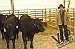 Ranch Hand Rodeo -