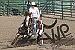 Humboldt County Rodeo Club returns to action in Fernley Harper, Hoenck earn individual victories 