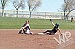 Lady Bucks erase memories from last year, clinch home field for playoffs Lowry sweeps Spring Creek in first home games of season 