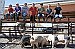 Pershing County Swine Club gearing up for annual show