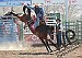 Humboldt County Rodeo Club competes at Yerington, Douglas