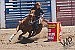 Hoenck, Harper win state high school rodeo titles in Fallon SSIR to begin in Winnemucca next week 