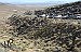 Employees help clean up Winnemucca Mountain Newmont values beyond the gate 