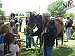 Farm-city day is fun! Montero family hosts students for educational event 