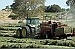 Lovelock hay producers survive heat