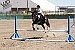 Humboldt County 4-H announces Horse Show results